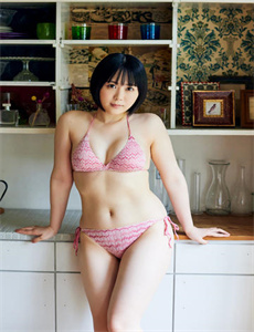 决战燕子门
